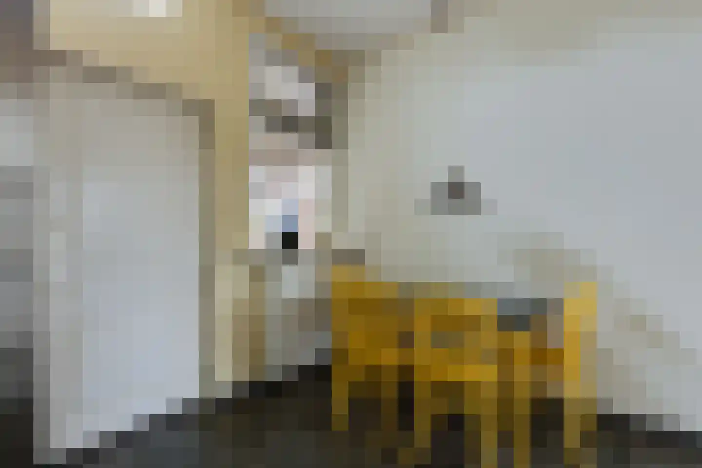 Deken Hooijmansingel 59 Groenlo thumbnail 16