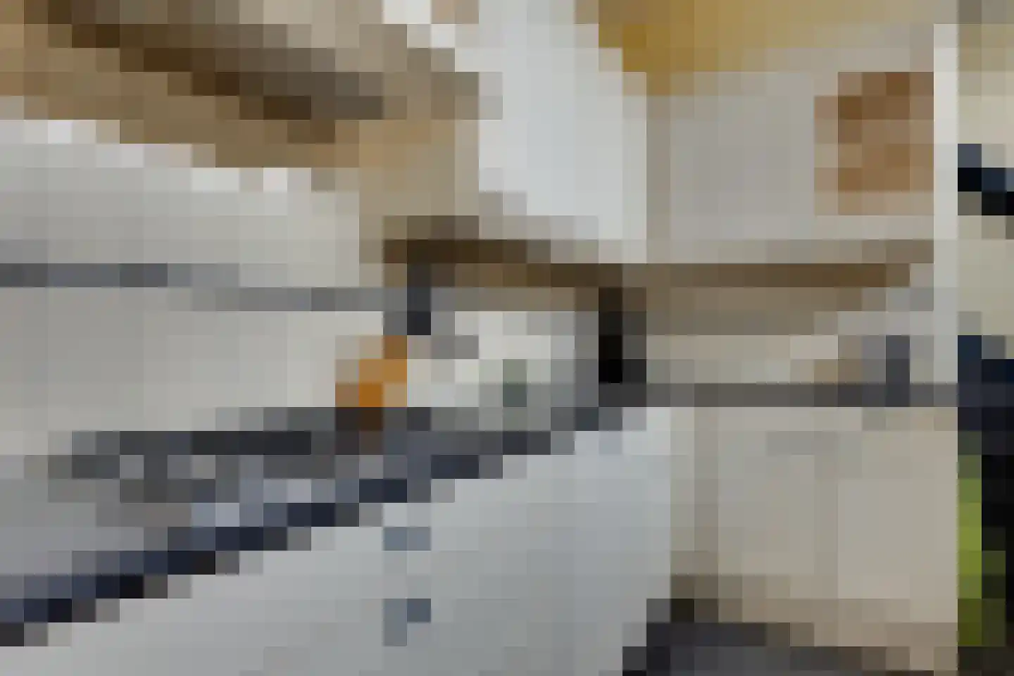 Deken Hooijmansingel 59 Groenlo thumbnail 18