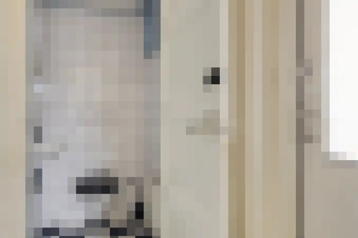 Deken Hooijmansingel 59 Groenlo thumbnail 24
