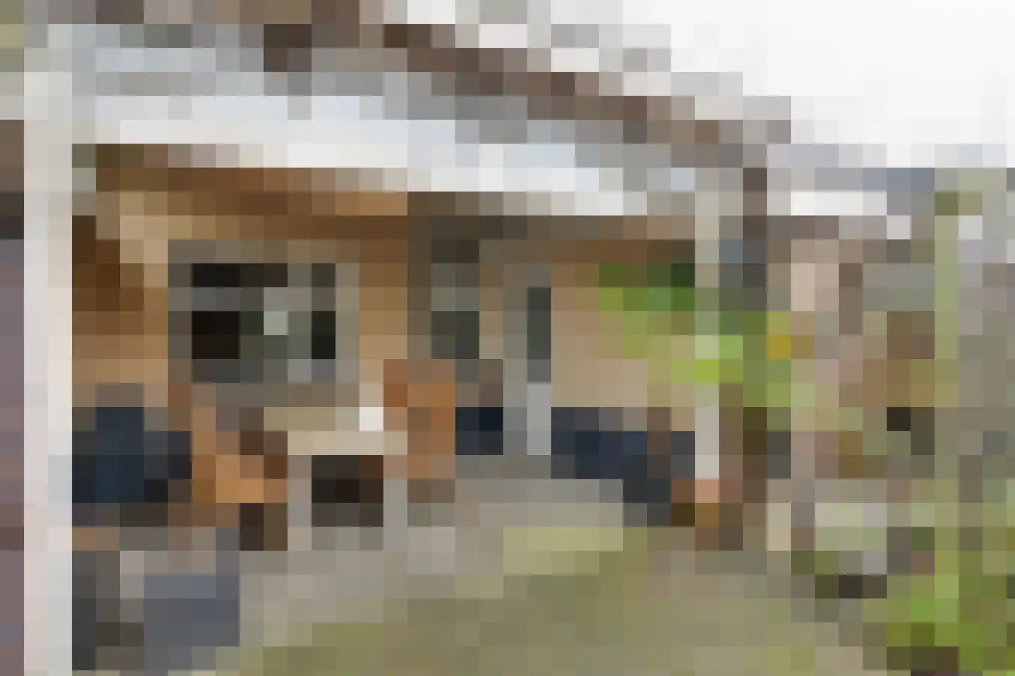 Deken Hooijmansingel 59 Groenlo thumbnail 36