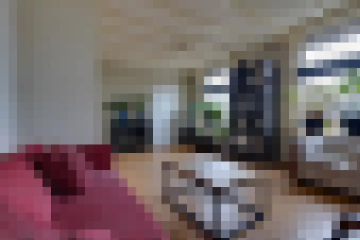 Deken Hooijmansingel 59 Groenlo thumbnail 9