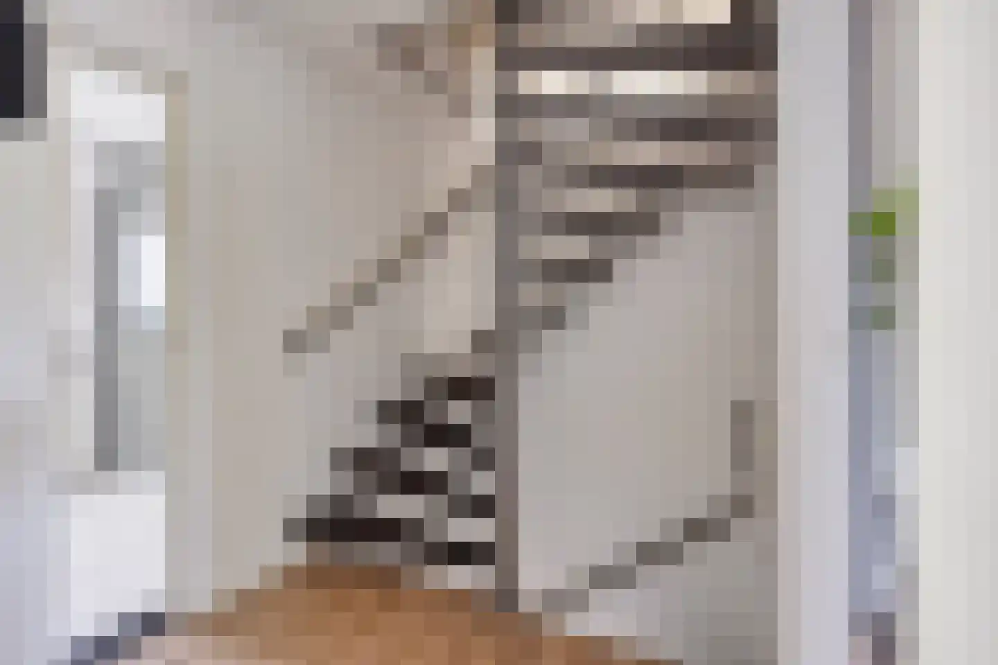 Deken Jaspersstraat 101 Helden thumbnail 13