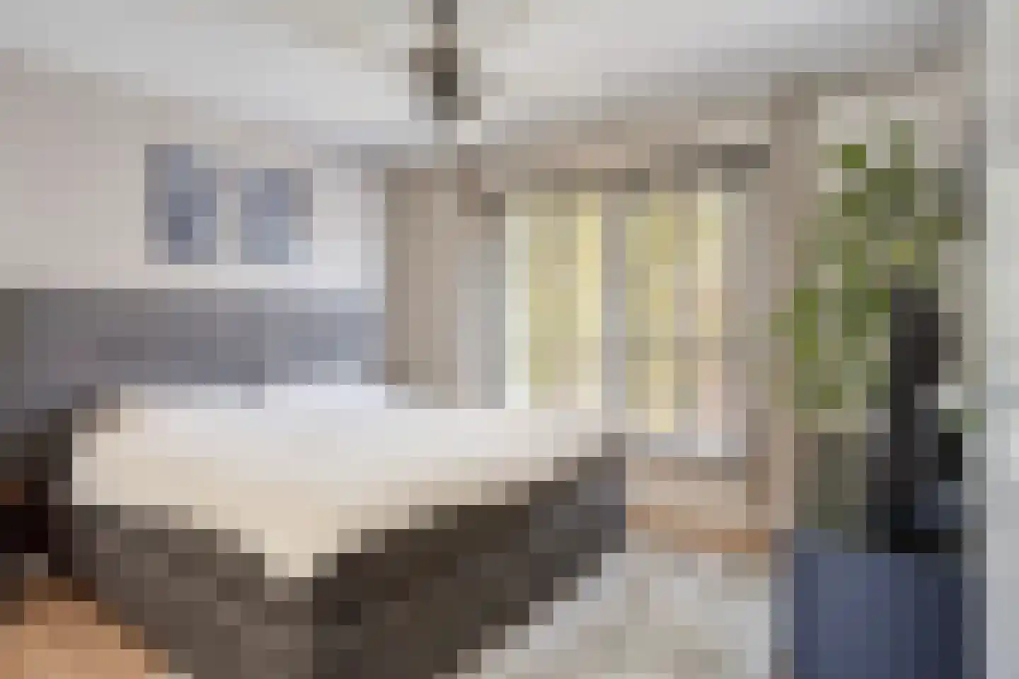Deken Jaspersstraat 101 Helden thumbnail 14