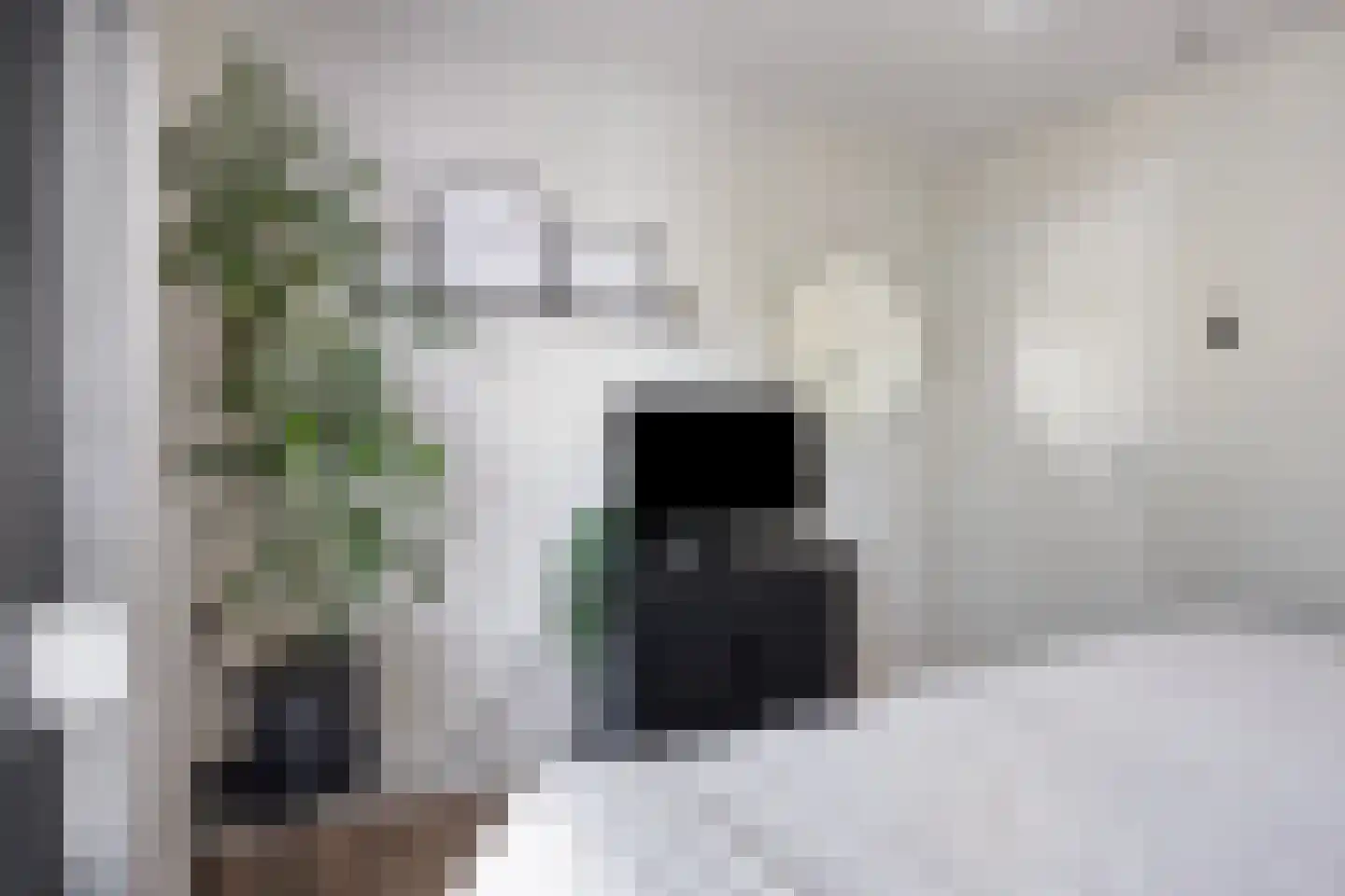 Deken Jaspersstraat 101 Helden thumbnail 15