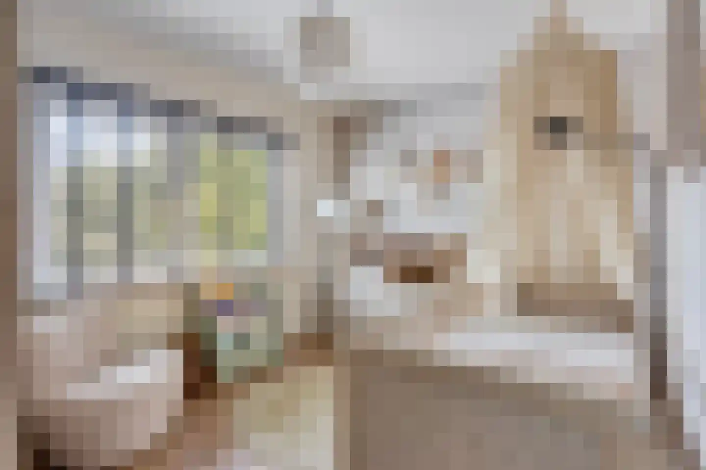 Deken Jaspersstraat 101 Helden thumbnail 18
