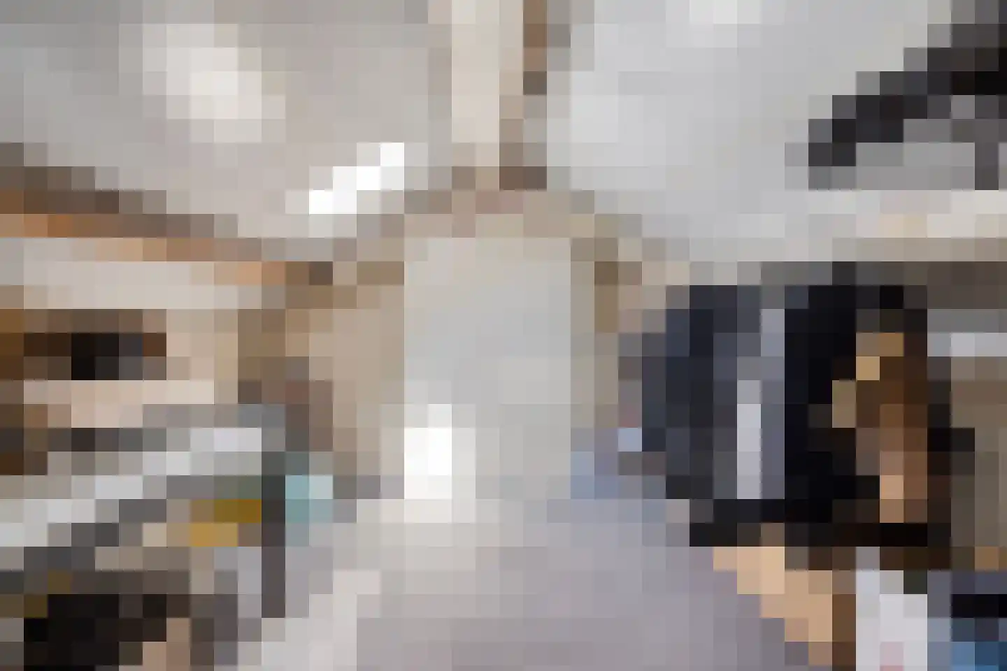 Deken Jaspersstraat 101 Helden thumbnail 20