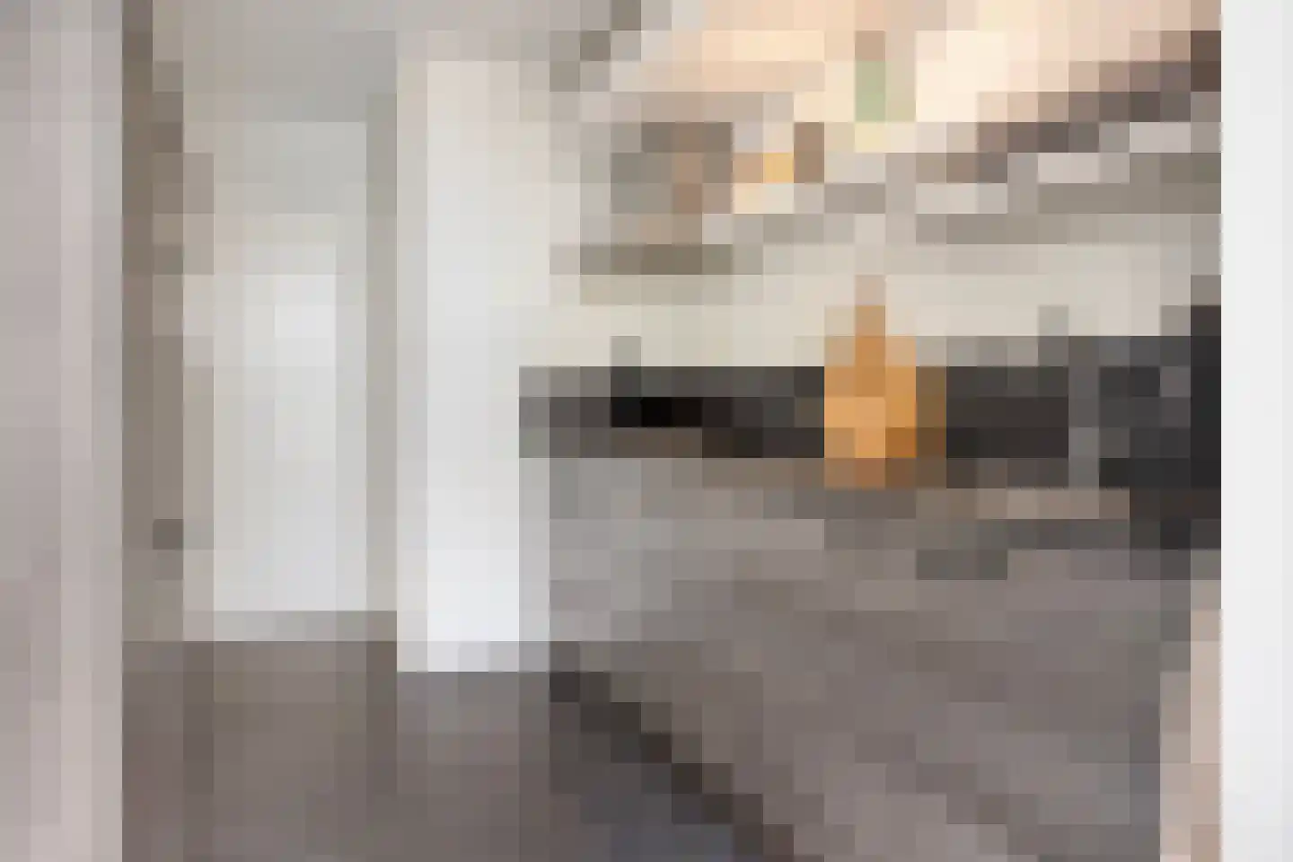 Deken Jaspersstraat 101 Helden thumbnail 4