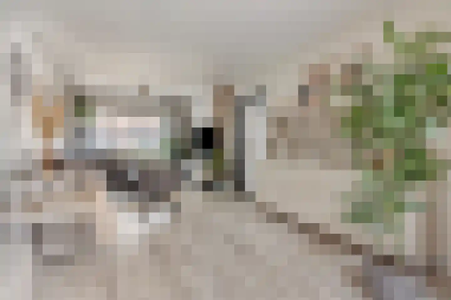 Deken Jaspersstraat 101 Helden thumbnail 8