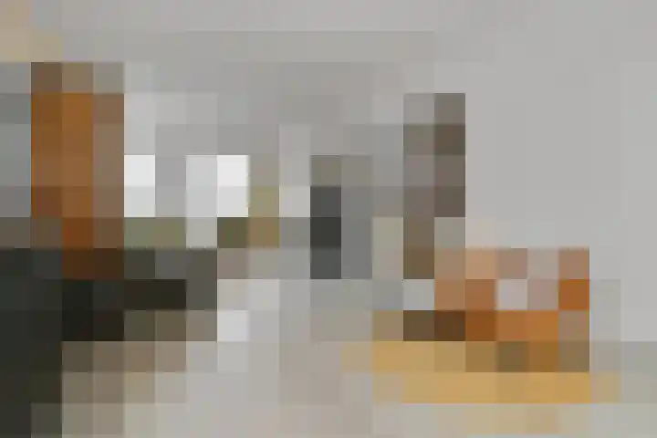 Deken Jaspersstraat 2 Helden thumbnail 11