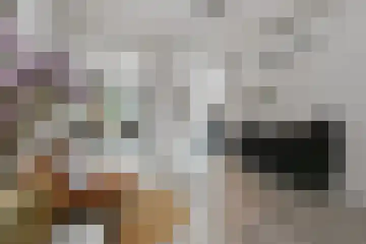 Deken Jaspersstraat 2 Helden thumbnail 12