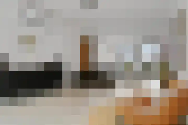 Deken Jaspersstraat 2 Helden thumbnail 13
