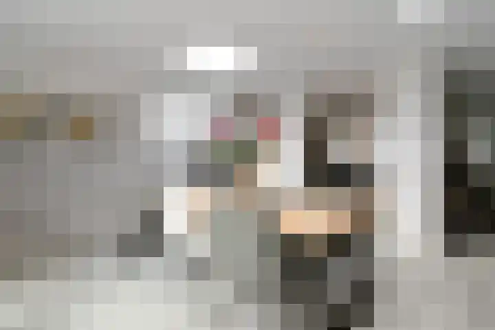 Deken Jaspersstraat 2 Helden thumbnail 15