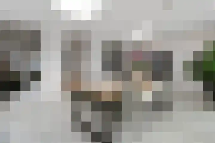 Deken Jaspersstraat 2 Helden thumbnail 16