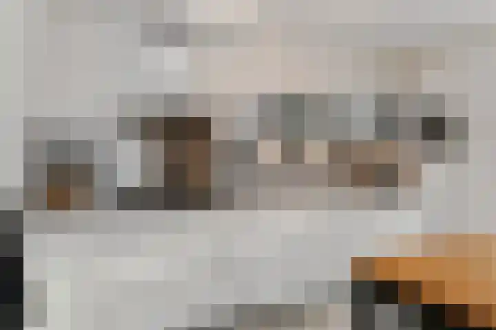 Deken Jaspersstraat 2 Helden thumbnail 18