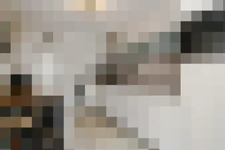 Deken Jaspersstraat 2 Helden thumbnail 19