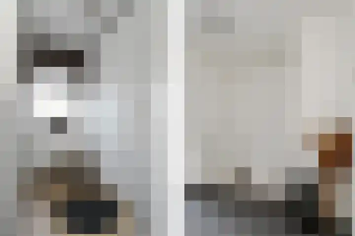 Deken Jaspersstraat 2 Helden thumbnail 21