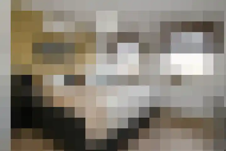 Deken Jaspersstraat 2 Helden thumbnail 22