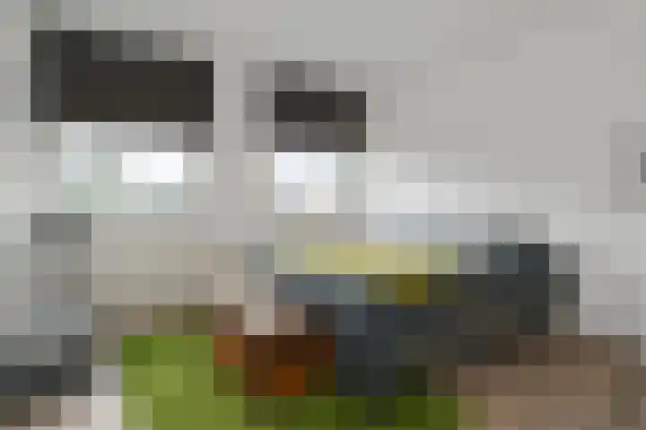Deken Jaspersstraat 2 Helden thumbnail 23