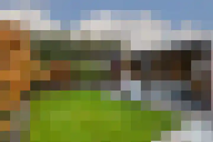 Deken Jaspersstraat 2 Helden thumbnail 28