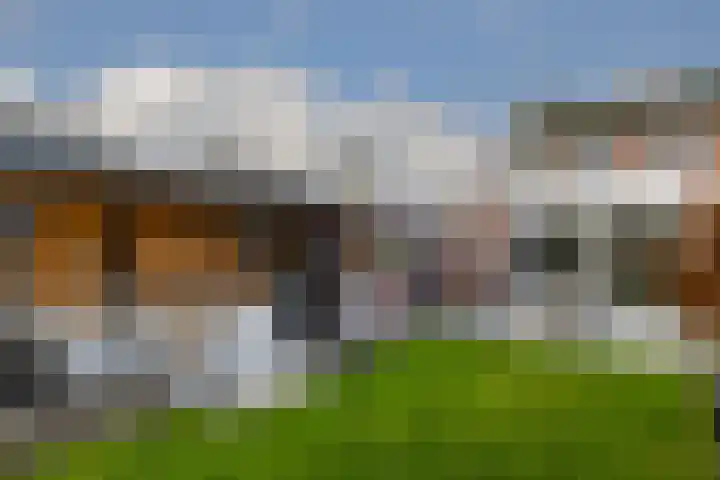 Deken Jaspersstraat 2 Helden thumbnail 29