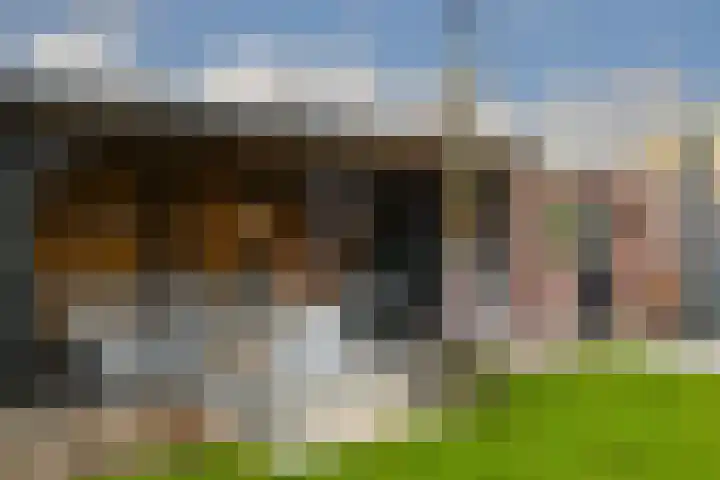 Deken Jaspersstraat 2 Helden thumbnail 30