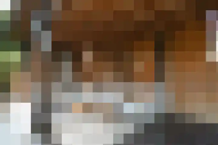 Deken Jaspersstraat 2 Helden thumbnail 31