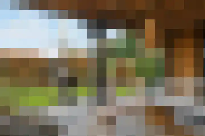 Deken Jaspersstraat 2 Helden thumbnail 32