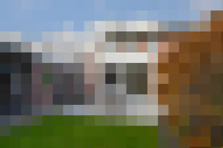 Deken Jaspersstraat 2 Helden thumbnail 33
