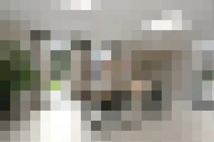 Deken Jaspersstraat 2 Helden thumbnail 4