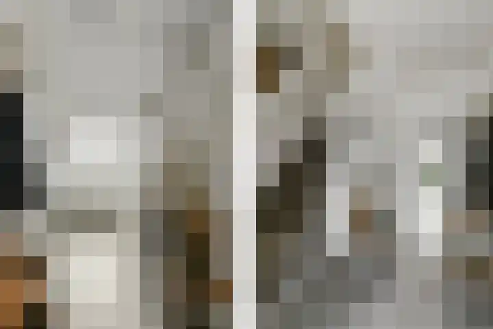Deken Jaspersstraat 2 Helden thumbnail 7