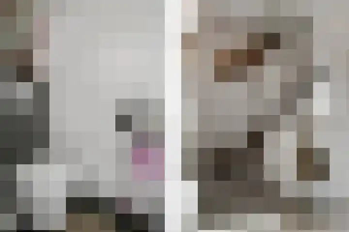 Deken Jaspersstraat 2 Helden thumbnail 8