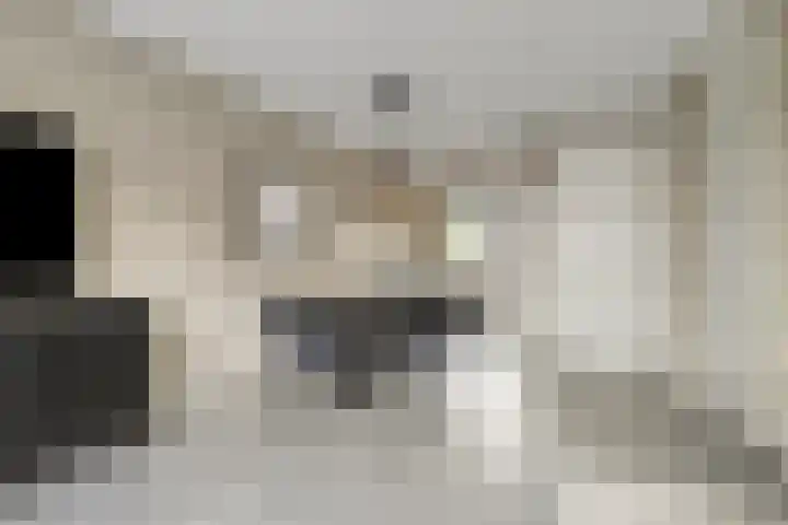 Deken Jaspersstraat 21 A Helden thumbnail 11
