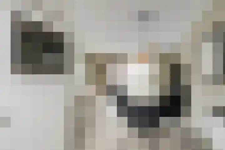 Deken Jaspersstraat 21 A Helden thumbnail 14