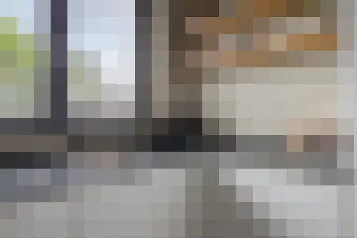Deken Jaspersstraat 21 A Helden thumbnail 15