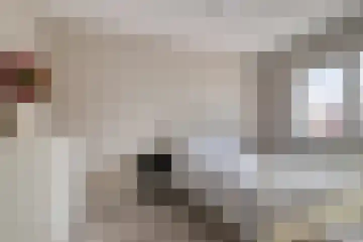 Deken Jaspersstraat 21 A Helden thumbnail 18