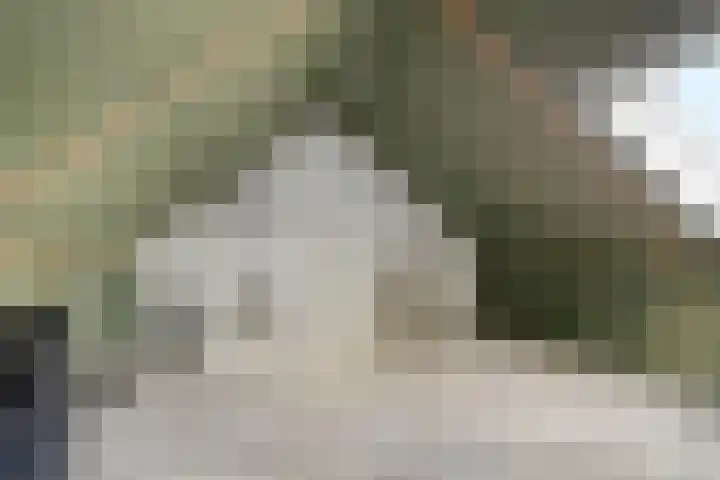 Deken Jaspersstraat 21 A Helden thumbnail 24