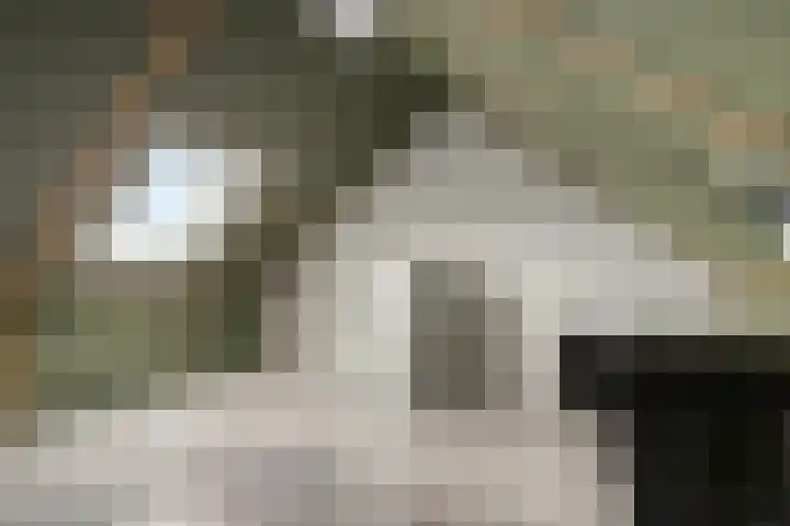 Deken Jaspersstraat 21 A Helden thumbnail 25