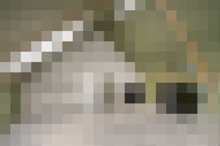 Deken Jaspersstraat 21 A Helden thumbnail 26