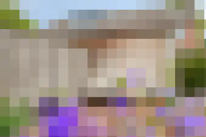 Deken Jaspersstraat 21 A Helden thumbnail 29