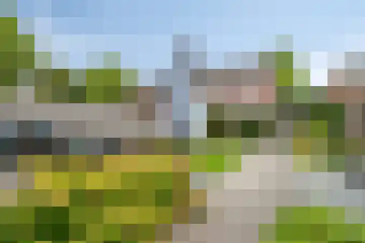 Deken Jaspersstraat 21 A Helden thumbnail 30