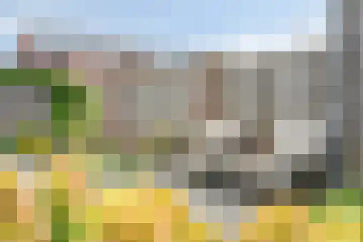 Deken Jaspersstraat 21 A Helden thumbnail 32