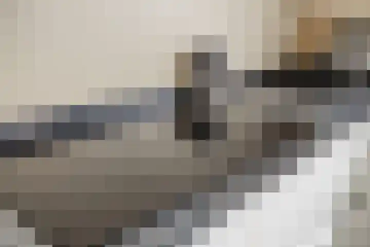 Deken Jaspersstraat 21 A Helden thumbnail 8