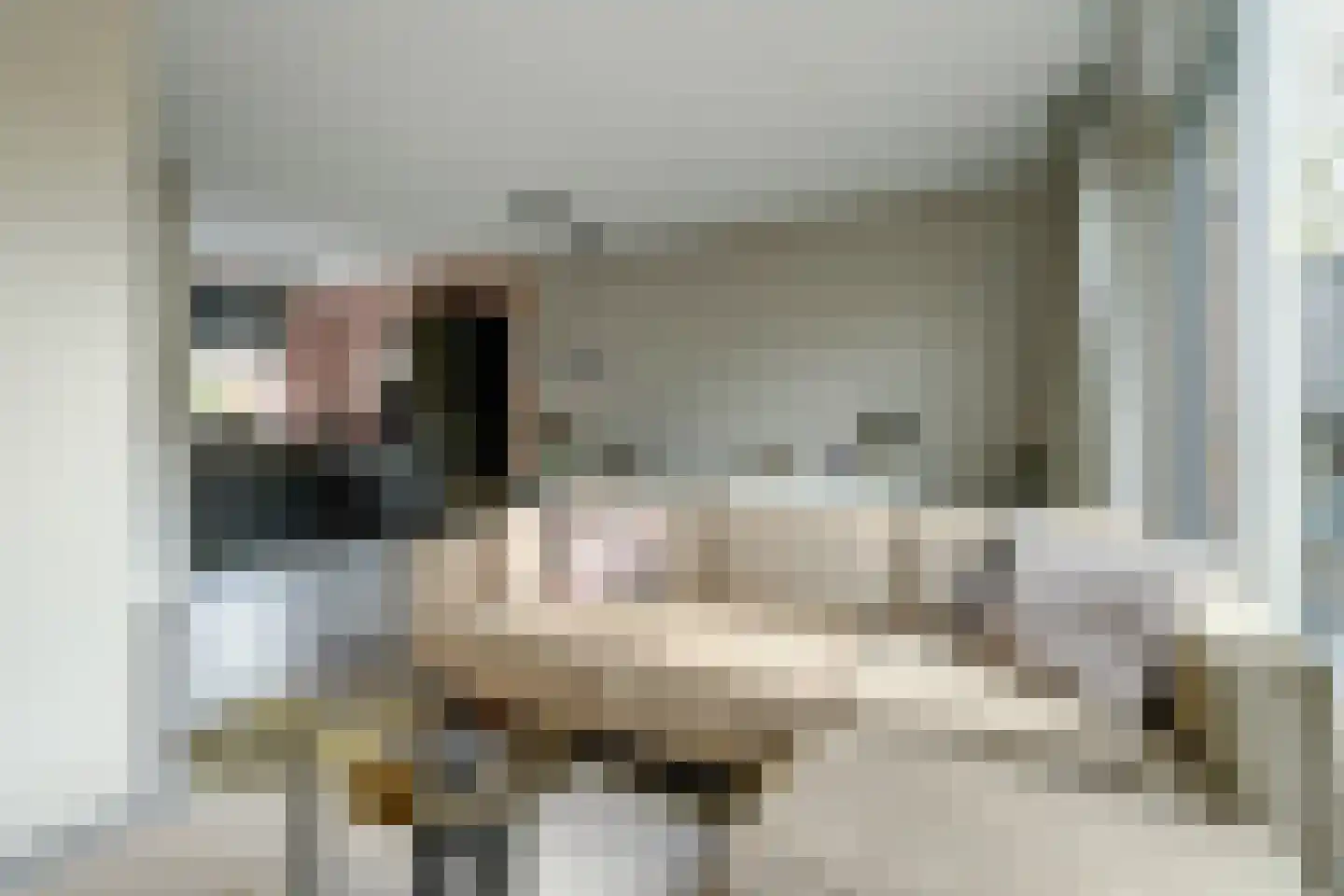 Deken Jaspersstraat 21 C Helden thumbnail 10