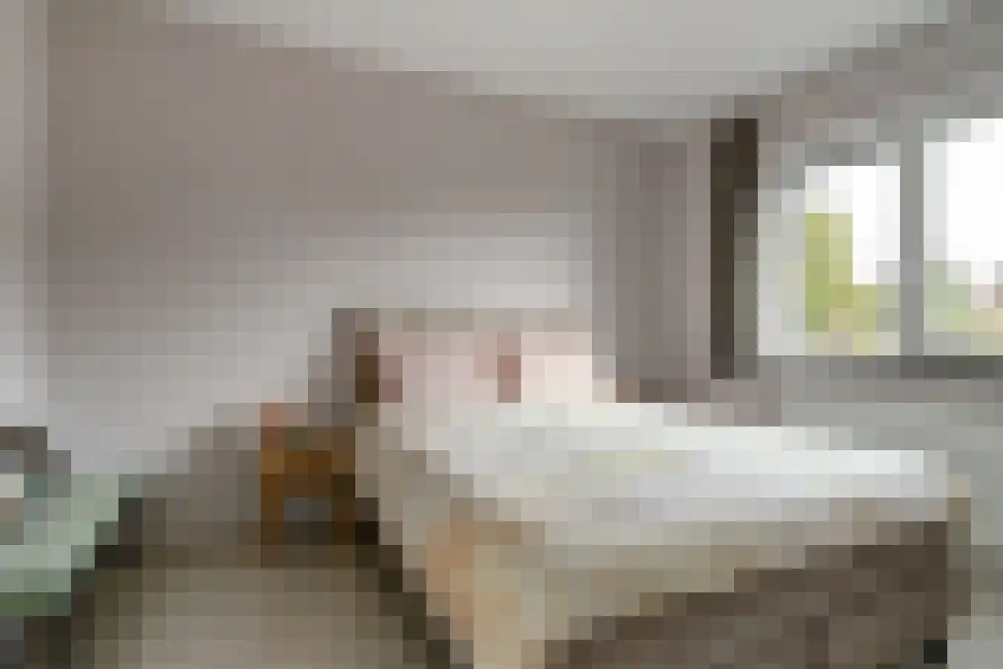 Deken Jaspersstraat 21 C Helden thumbnail 23