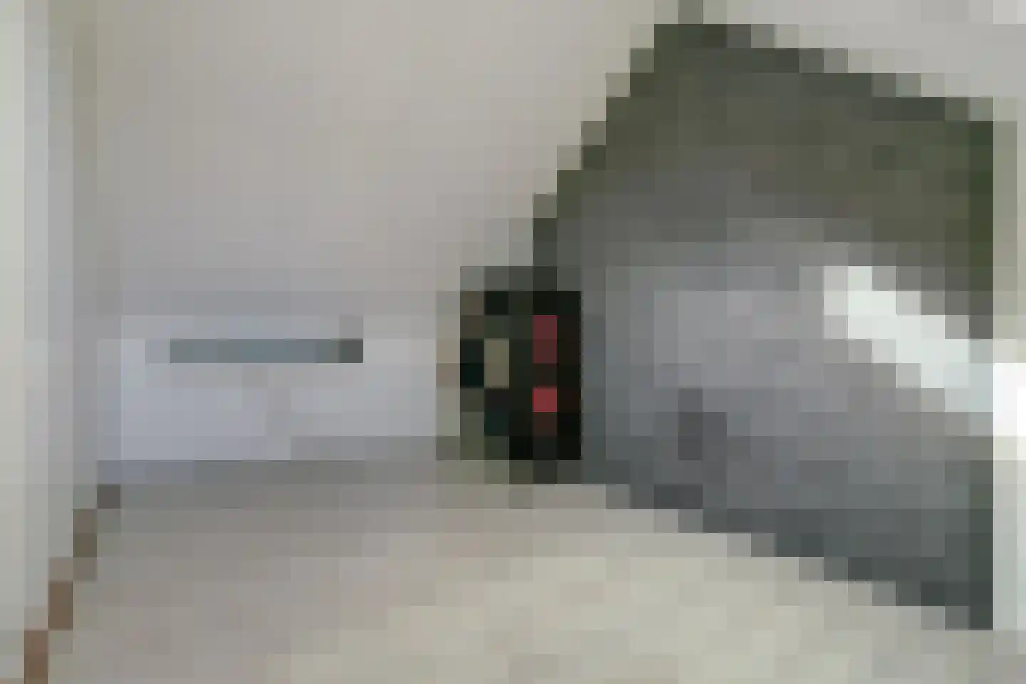 Deken Jaspersstraat 21 C Helden thumbnail 32