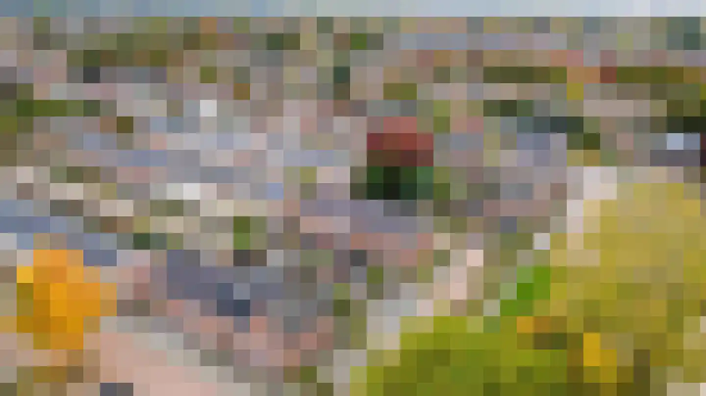 Deken Jaspersstraat 21 C Helden thumbnail 46