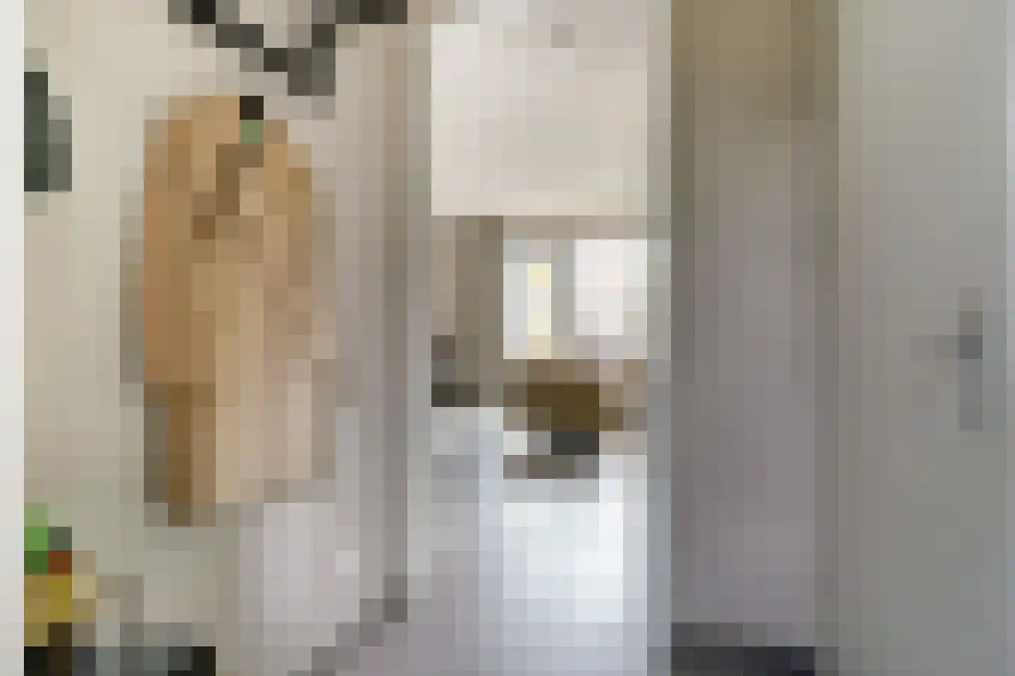 Deken Jaspersstraat 21 C Helden thumbnail 7