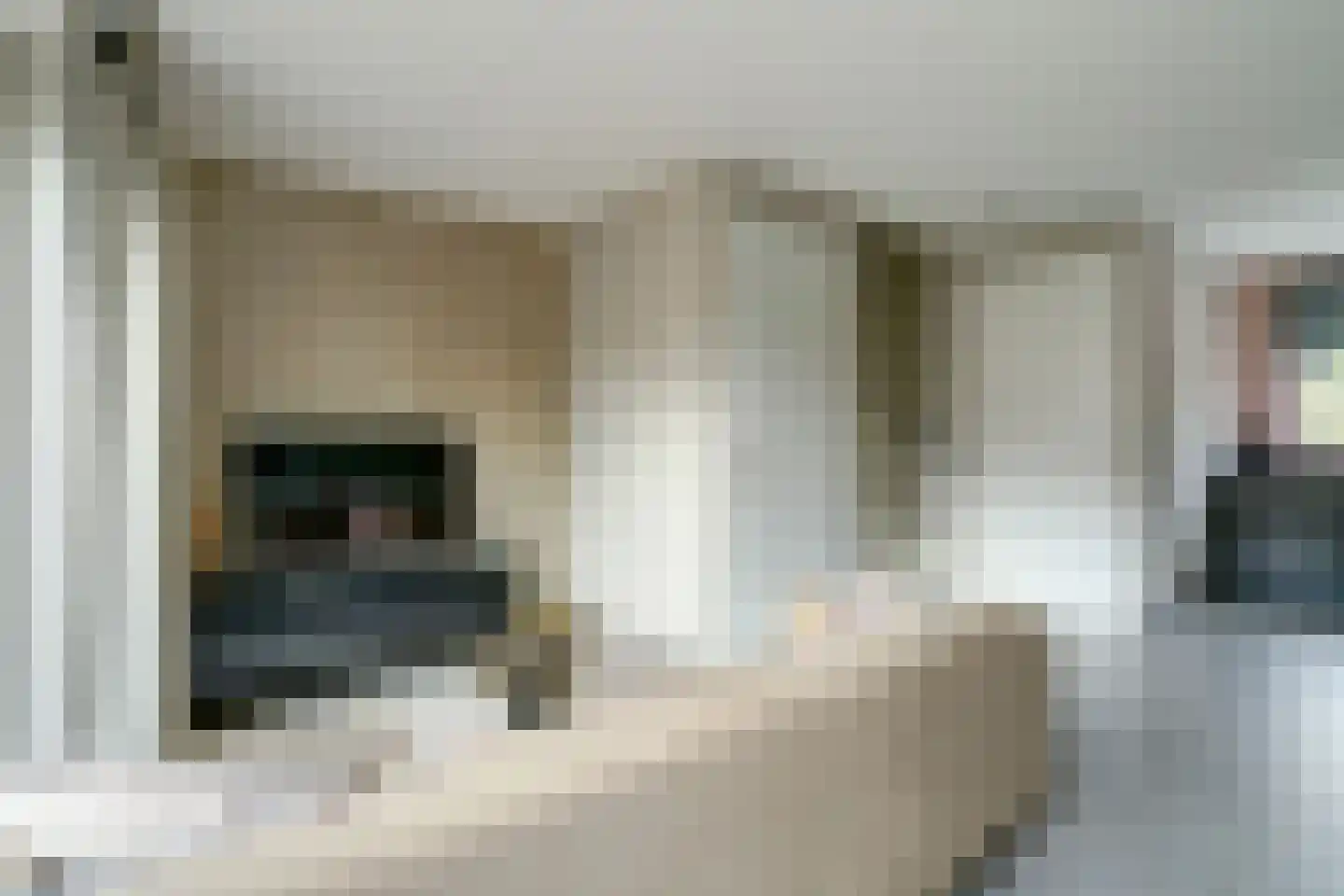 Deken Jaspersstraat 21 C Helden thumbnail 8
