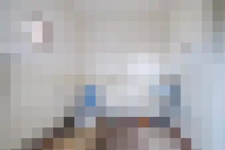 Deken Kempslaan 3 Heeze thumbnail 10