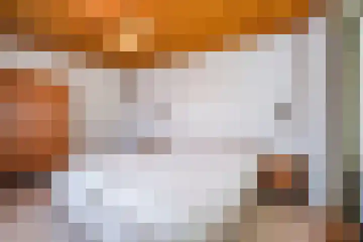 Deken Kempslaan 3 Heeze thumbnail 14
